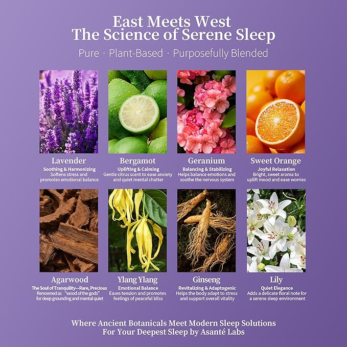 Tranquility Sleep Essential Oil Blend – Agarwood, Lavender & Ylang Ylang for Bedtime Relaxation, Calming & Deep Sleep – 5ml Natural Skin-Safe Aromatherapy by Asanté Labs (0.17 Fl Oz (Pack of 1))