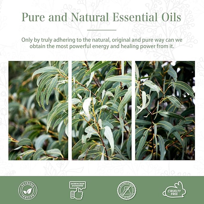 PHATOIL Pure Eucalyptus Essential Oil, 100% Pure Therapeutic Grade Premium Oil for Hair Care, Skin, Aromatherapy 3.38Fl Oz