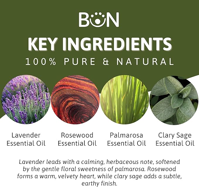 Best of Nature Essential Oil Blend – 100% Pure for Diffuser, Aromatherapy & Relaxation (Tranquility)