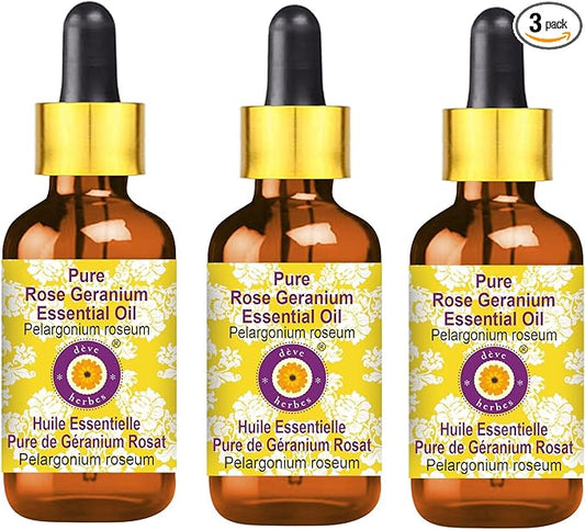 dève herbes Pure Rose Geranium Essential Oil (Pelargonium roseum) with Glass Dropper Steam Distilled (Pack of Three) 100ml X 3 (10 oz)