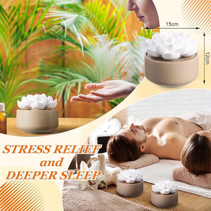 Honeydak 1 Pcs Reedless Ceramic Diffuser Set, Porcelain White Flower Aromatherapy Essential Oil Diffuser for Home Office Bathroom Tabletop Decor, Non-Electric, Valentines Day Gift (Succulent)