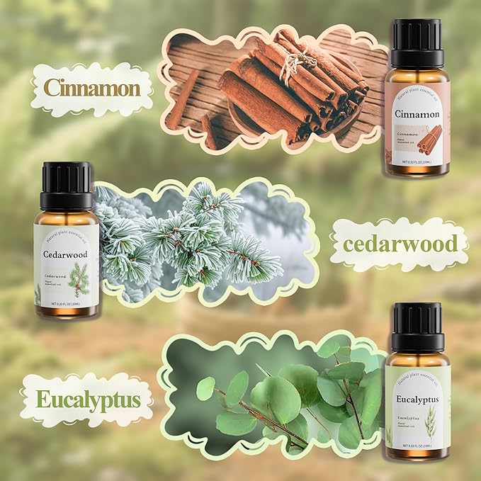 Natural Essential Oil Blend Set - 6x10ml Earthy & Woody Collection - Plant-Based Scented Oils for Diffuser, Home Spa & DIY Crafts - Citronella, Cedarwood, Cinnamon, Bergamot, Grapefruit, Eucalyptus