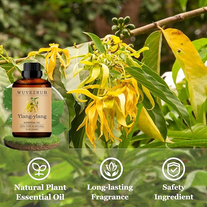 Ylang-Ylang Essential Oils 240ML, Pure Ylang-Ylang Essential Oil for Aromatherapy Diffuser - 8 Fl Oz