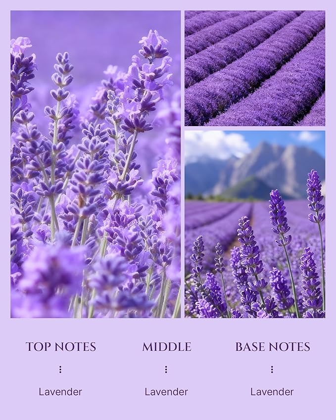 Aromadd Aromadd Lavender Diffuser Oil Inspired by Luxury Hotel Scent, Essential Oils for Waterless Diffuser, Pure Soothing Lavender Aroma, Long-Lasting & Natural Home Fragrance - 3.38 fl oz (100 mL)