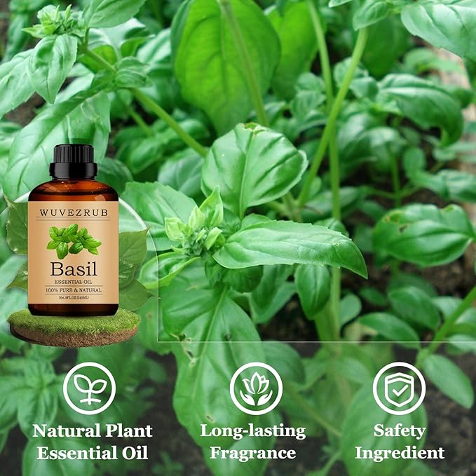 Basil Essential Oils 240ML, Pure Basil Essential Oil for Aromatherapy Diffuser - 8 Fl Oz