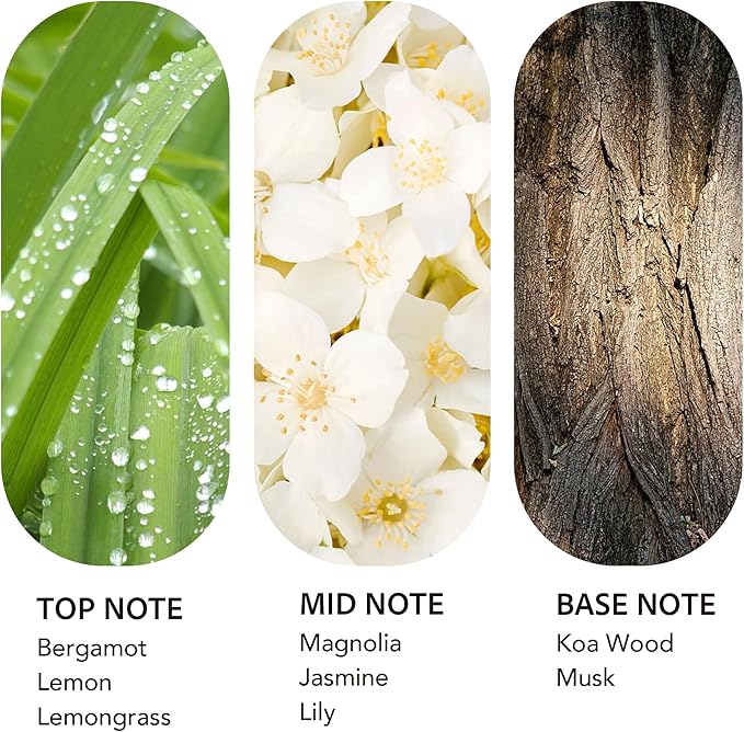 Luxury Hotel Scent 24K Aura 200ml/6.76Fl oz Diffuser Oil Waterless Essential Aromatherapy for Cold Air & Car Diffusers – Long Lasting Refill for Large Room & Home - Signature Lemongrass