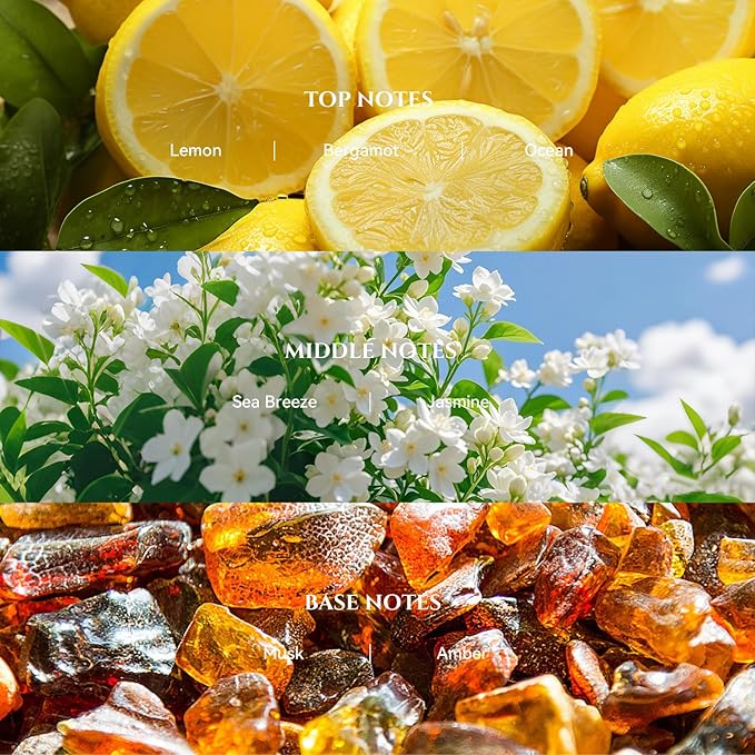 AROMADD AROMADD Bergamot Coastal Diffuser Oil Inspired by Luxury Hotel Scent 3.38 Fl Oz (100ml), Aroma Diffuser & Hotel Fragrance Diffuser Oil, Essential Oil Diffuser for Aromatherapy, Long-Lasting